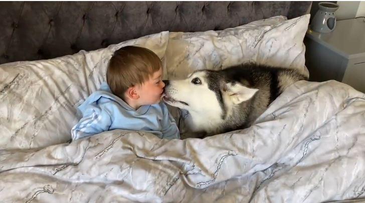 Pai flagra filho tirando cochilo com seu cachorro e vídeo viraliza!