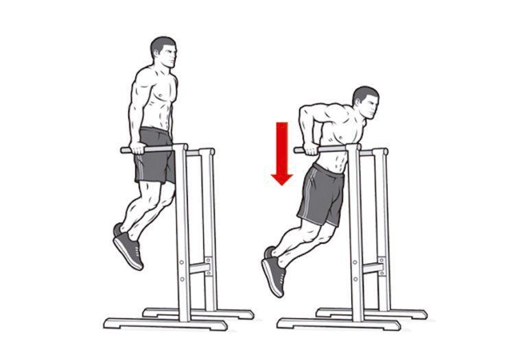 Брусья на трицепс. Chest Dips упражнение. Dips Workout. Dips faydasi. Dips scheme.