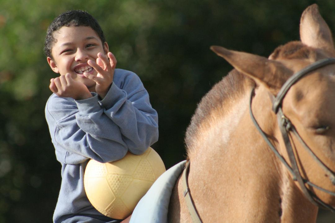 Menino surpreende a todos ao pedir milho e outros presentes para sua família e seu animal de estimação, o cavalo Gateado.