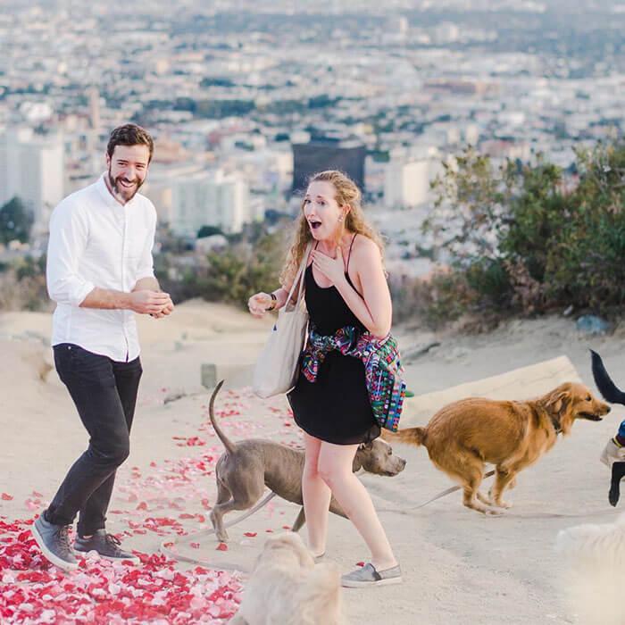 Ele pediu a namorada em casamento com 16 cachorros e a reação dela é impagável - Papo de Pai
