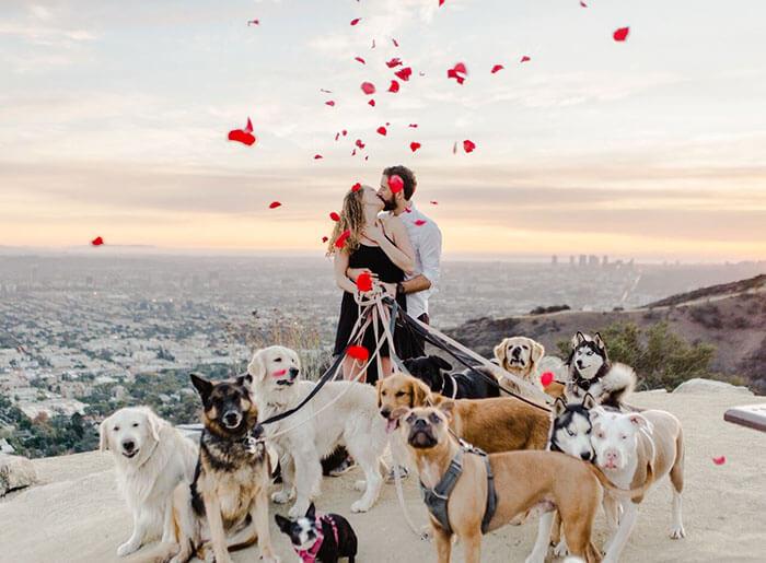 Ele pediu a namorada em casamento com 16 cachorros e a reação dela é impagável - Papo de Pai